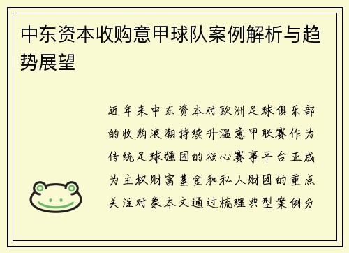 中东资本收购意甲球队案例解析与趋势展望